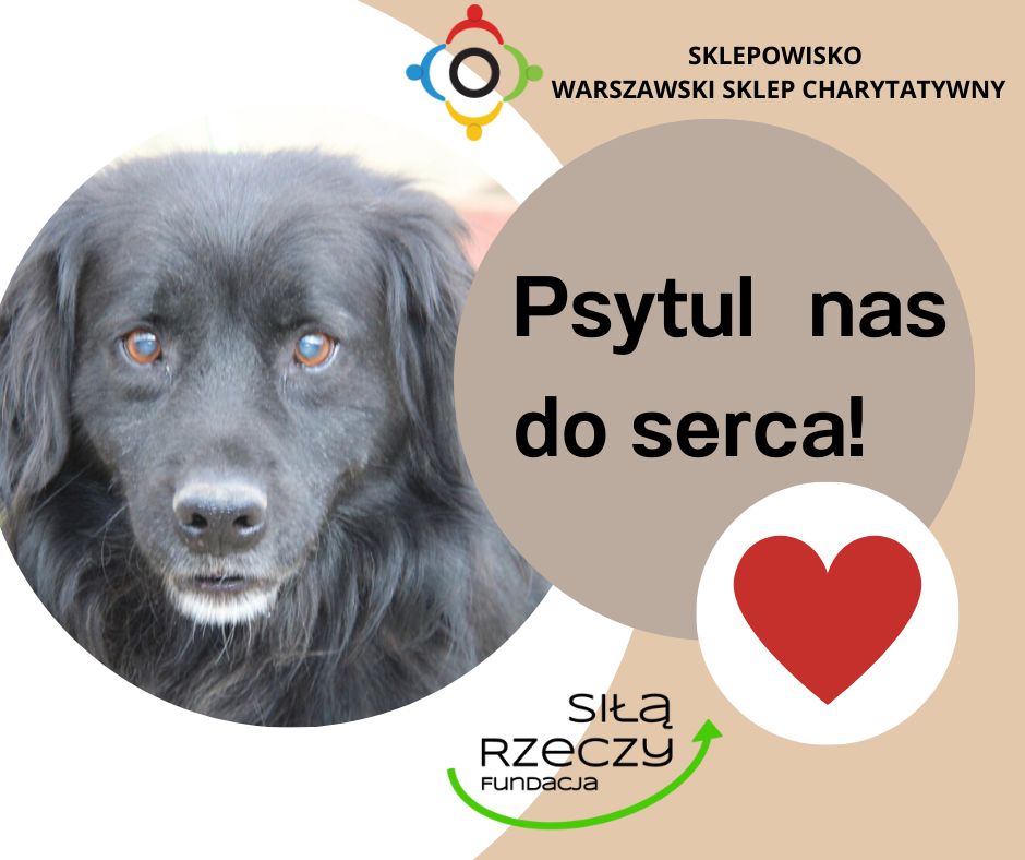 Read more about the article Psytul Nas do Serca